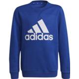 👉 Sweater Adidas Essentials Junior 4064057657507