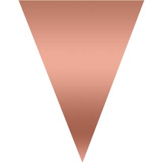 Slinger rose goud vlaggetjes slinger/vlaggenlijn van 5 meter