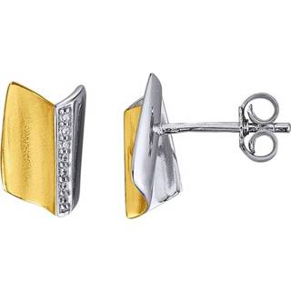 👉 Oorsteker zilverkleur zilver vrouwen Oorstekers Diemer Trend 4055708228030