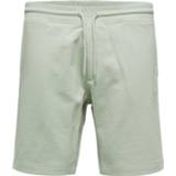 👉 Sweat short XXL mannen groen Selected homme slhbale340 shorts s 5715214094107