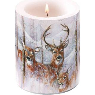 👉 Stompkaars active Ambiente Wilderness Stag 75 Branduren 10x12 cm 8712159173666