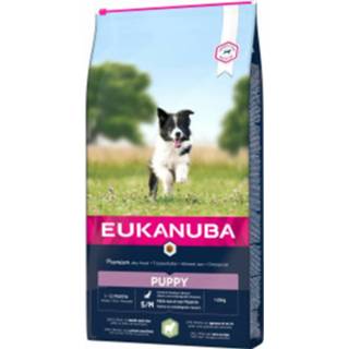 👉 Small medium active Eukanuba Puppy - Lam Rijst 2,5 kg 8710255168746