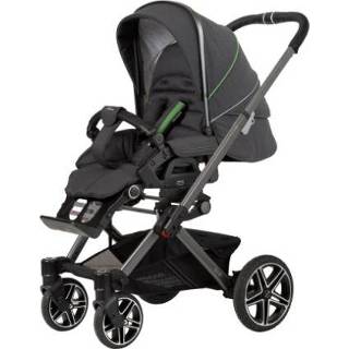 👉 Kinder wagen platina grijs jongens kinderen Hartan Kinderwagen Vip GTS birdy (204) Framekleur 4015538078922