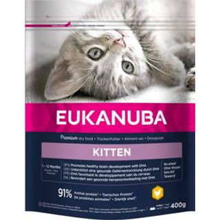👉 Kattenvoer active Eukanuba Kitten Healthy Start 400 gr 8710255185309