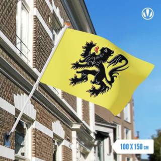 👉 Vlag active Vlaanderen 100x150cm 7424950799778