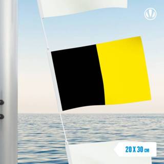 👉 Vlag active Vlaggetje Sneek 20x30cm 7424951728791 7424948488431