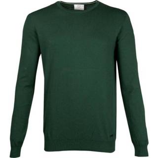 👉 Pullover XL male groen