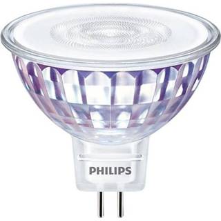 👉 Wit active Philips Lampen GU5.3 (LED) 7W 12V 621lm PH CSMR50W83036D1 8718696814772