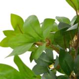 👉 Kunstplant groen active met pot laurierboom 120 cm 8719883553405