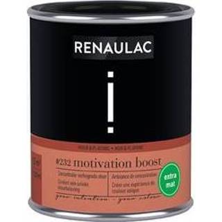 👉 Plafondverf male Renaulac muur- en Intention Keen Aspiration extra mat 125ml 4004014900567