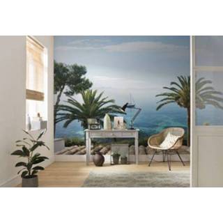 👉 Fotobehang meerkleurig Komar Paradise View 450x280cm 4055065111617