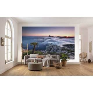 👉 Fotobehang meerkleurig Komar Island Paradise 450x280cm 4055065111457