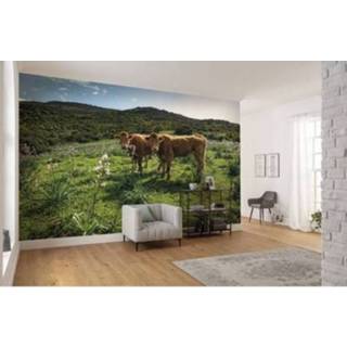 👉 Fotobehang meerkleurig Komar Kuhparadies 450x280cm 4055065111471