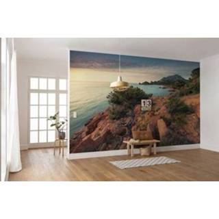 👉 Fotobehang meerkleurig Komar Paradiso II 450x280cm 4055065111624