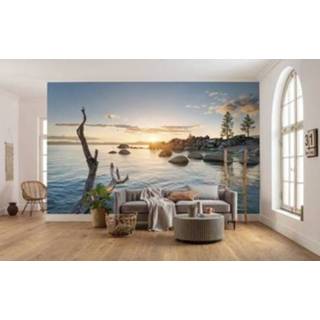 👉 Fotobehang meerkleurig Komar Final Light 450x280cm 4055065111358