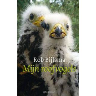 👉 Mijn roofvogels - Rob Bijlsma (ISBN: 9789045021577) 9789045021577
