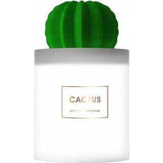 👉 Luchtbevochtiger wit groen MyKelys Cactus / 3700996700065