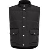 👉 Vest vrouwen zwart Ari