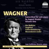 👉 Piano Juan Guillermo Vizcarra Wagner: Transcribed For Solo 5060113441515