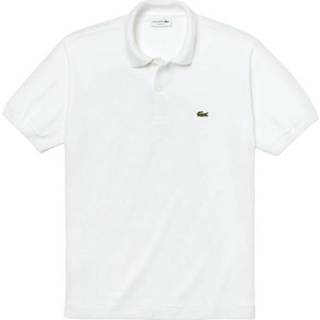 👉 L male wit Polo