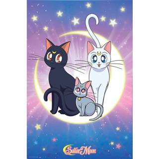 👉 Poster unisex artemis meerkleurig Sailor Moon - Luna, & Diana 3665361067559