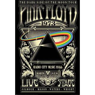 👉 Poster roze unisex Hoofdmateriaa Papier meerkleurig Pink Floyd - 1973 5050574350211