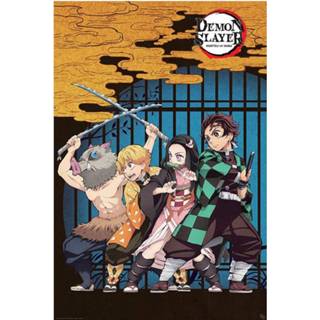 👉 Poster unisex Hoofdmateriaa Papier meerkleurig Demon Slayer - Group 3665361074571