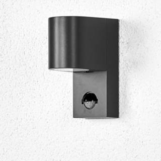👉 Buitenwandlamp grafietgrijs Palina met bewegingssensor