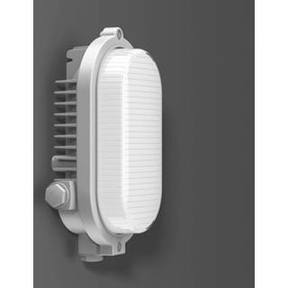 👉 Buitenwandlamp wit zilver mat RZB Areno LED IP66 zilver/wit 840