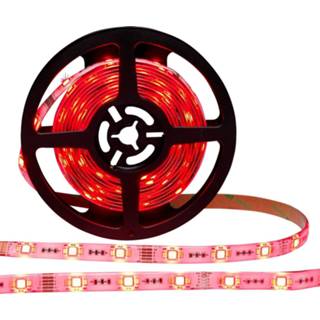 👉 Denver LSC-531 LED strip RGBW 5m IP20 WLAN