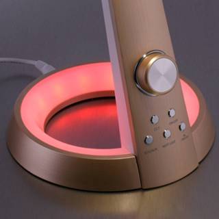 👉 Bureaulamp goud Paul Neuhaus Bill LED bureaulamp,