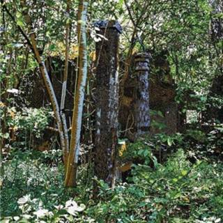 👉 Merope Salos 793618108281