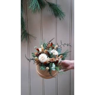 👉 Groen bruin natuurlijk materiaal One Size GeenKleur Bries aan Zee Kerst in een doosje groen/bruin Default 8785267657915