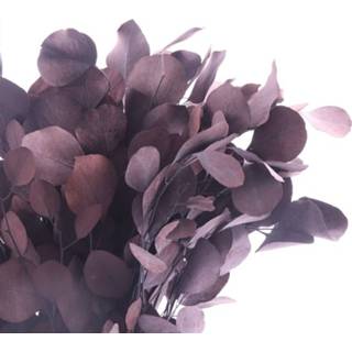 👉 Natuurlijk materiaal GeenKleur Bries aan Zee Populus blad koffie Default 8785261907900