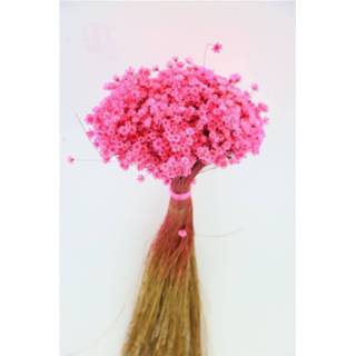 👉 Natuurlijk materiaal GeenKleur Bries aan Zee Glixia cerise Default 8785261912812