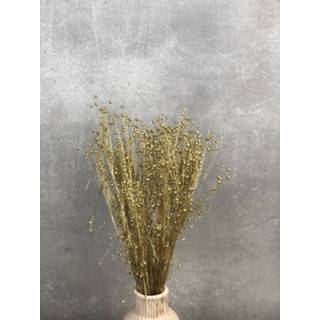 👉 Goud natuurlijk materiaal GeenKleur Bries aan Zee Vlas in de metallic kleur Default 8785266400994