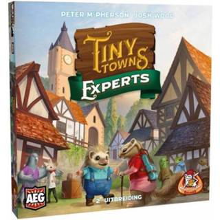 👉 Tiny Towns - Experts 8718026304508