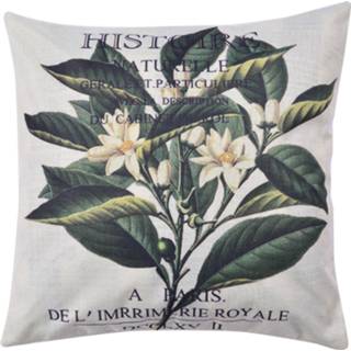 👉 Kussenhoes GeenKleur Clayre & Eef 43*43 cm KT021.255 8717459777521