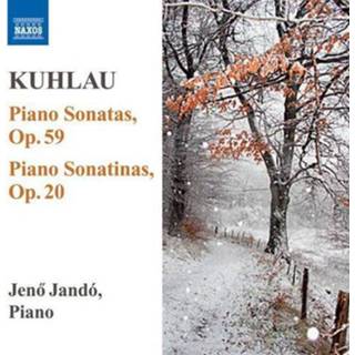 👉 Piano Sonatas Volume 1 747313070978