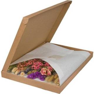 👉 Droogbloem roze GeenKleur Thils Living NEW! Wild Flowers: Droogbloemen in Letterbox Pink WF024 8720514874981