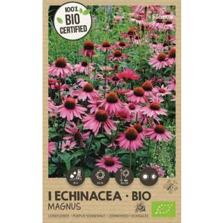 👉 Zonnehoedje Echinacea magnus - Zonnehoed 100% BIO