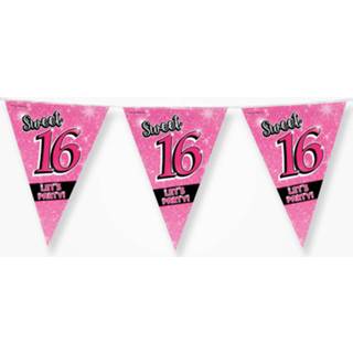 👉 Slinger roze One Size 3x stuks sweet 16 slingers 10 meter - 16e Verjaardag Vlaggenlijnen/slingers Feestversiering 8720276492119