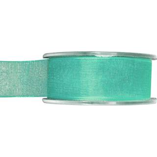 👉 Tgroene One Size zachtgroen 2x Hobby/decoratie mintgroene organza sierlinten 4 cm/40 mm x 20 meter - Cadeaulint organzalint/ribbon Striklint linten mint 8720276854603