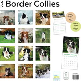 👉 Kalender One Size meerkleurig Huisdieren/dieren 2022 Border Collie honden 30 cm - Maandkalenders/jaarkalenders Wandkalenders 8720165756421