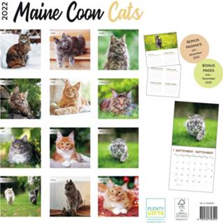 👉 Kalender One Size meerkleurig Huisdieren 2022 Maine Coon katten/poezen 30 cm - Maandkalenders/jaarkalenders Wandkalenders 8720165756544