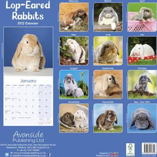 👉 Kalender One Size meerkleurig Huisdieren/dieren 2022 konijnen 30 cm - Maandkalenders/jaarkalenders Wandkalenders 9781839413742