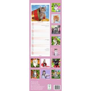 👉 Kalender One Size meerkleurig Huisdieren/dieren 2022 katten/poezen kittens 15 x 42 cm - Maandkalenders/jaarkalenders Wandkalenders 9781839413629