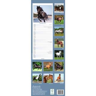 👉 Kalender One Size meerkleurig Dieren 2022 paarden 15 x 42 cm - Maandkalenders/jaarkalenders Wandkalenders 9781839413612
