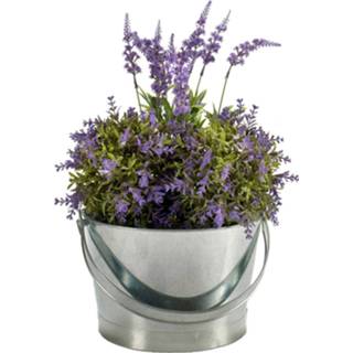 👉 Plantenbak One Size zilver mannen Bloempot/plantenbak zinken mand rond met handvat 27 x 25 17 cm 8430852127693