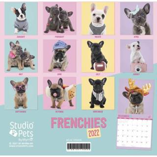 👉 Kalender One Size meerkleurig Huisdieren/dieren 2022 grappige Franse Bulldog honden 30 cm - Maandkalenders/jaarkalenders Wandkalenders 8720165756636